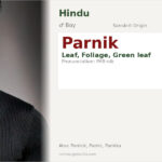Parnik Name Meaning and Details