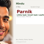 Parnik Name Meaning and Details