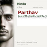 Parthav Name Meaning and Details
