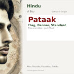 Pataak Name Meaning and Details