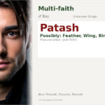 Patash Name Meaning and Details