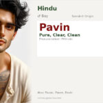 Pavin Name Meaning and Details