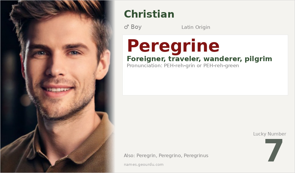 Peregrine Name Meaning and Details