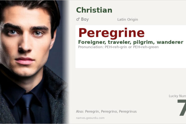 Peregrine Name Meaning — Latin Origin, Boy Name & Christian Significance (2025)