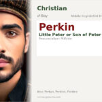 Perkin Name Meaning and Details
