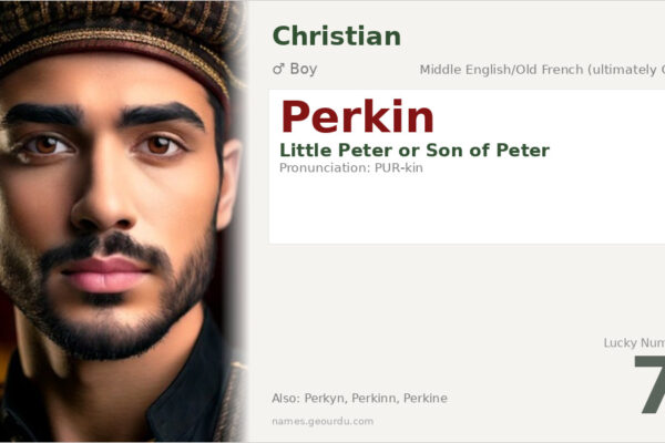 Perkin Name Meaning — Origin, Gender & Details (2025)