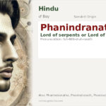 Phanindranath Name Meaning and Details