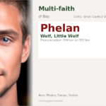 Phelan Name Meaning and Details