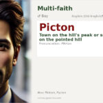 Picton Name Meaning and Details