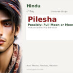 Pilesha Name Meaning and Details