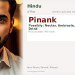 Pinank Name Meaning and Details