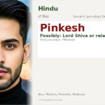 Pinkesh Name Meaning and Details