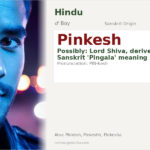 Pinkesh Name Meaning and Details