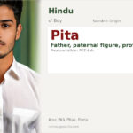 Pita Name Meaning and Details