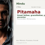 Pitamaha Name Meaning and Details
