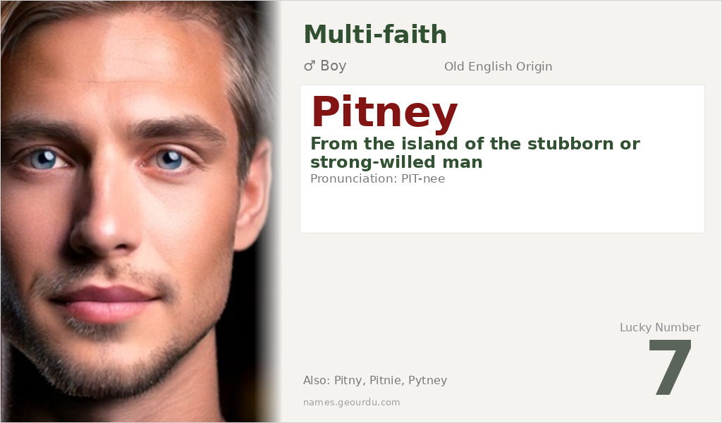 Pitney Name Meaning and Details