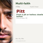 Pitt Name Meaning and Details