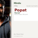 Popat Name Meaning and Details