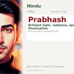 Prabhash Name Meaning and Details