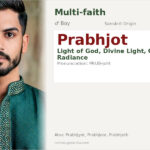 Prabhjot Name Meaning and Details