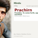 Prachirn Name Meaning and Details