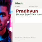 Pradhyun Name Meaning and Details