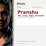 Pranshu Name Meaning and Details