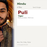 Puli Name Meaning and Details