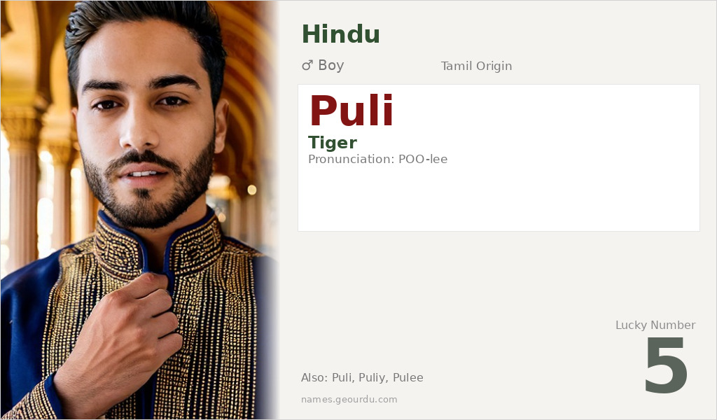 Puli Name Meaning and Details