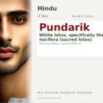 Pundarik Name Meaning and Details