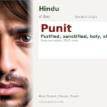 Punit Name Meaning and Details