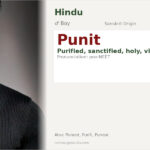Punit Name Meaning and Details