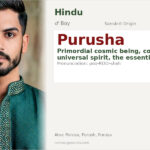 Purusha Name Meaning and Details
