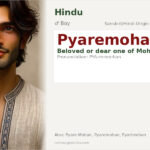 Pyaremohan Name Meaning and Details