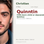 Quinntin Name Meaning and Details