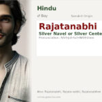 Rajatanabhi Name Meaning and Details