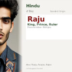 Raju Name Meaning and Details