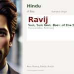 Ravij Name Meaning and Details