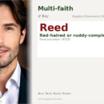 Reed Name Meaning and Details