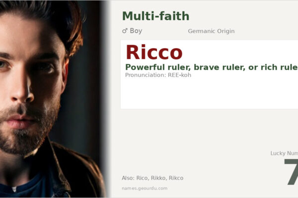 Ricco Name Meaning — Germanic Origin, Boy Name & History (2025)