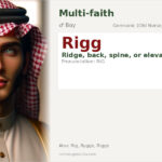 Rigg Name Meaning and Details