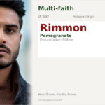 Rimmon Name Meaning and Details