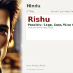 Rishu Name Meaning and Details