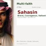 Sahasin Name Meaning and Details