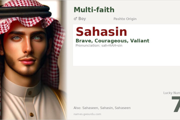 Sahasin Name Meaning — Brave, Pashto Origin & Details (2025)