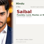 Saibal Name Meaning and Details