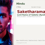 Saketharaman Name Meaning and Details