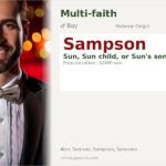 Sampson Name Meaning and Details