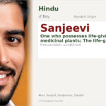 Sanjeevi Name Meaning and Details