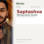 Saptashva Name Meaning and Details